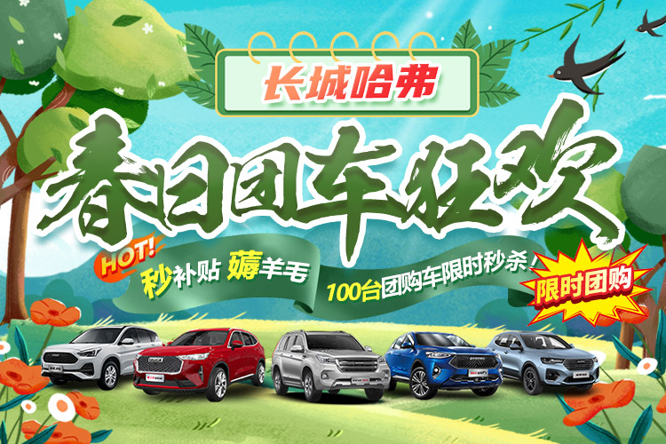 绍兴哈弗h6春季团购会